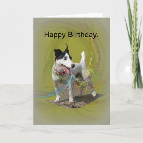 Jack Russell birthday card Card