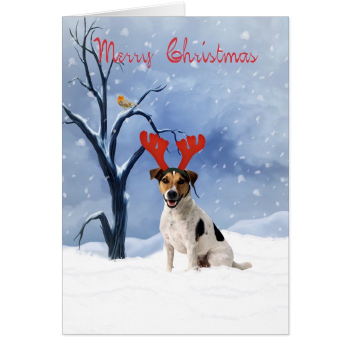 jack russell christmas card   bulldog has reindeer