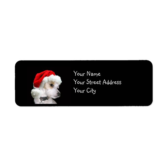 Jack Russell Christmas Label (Front)