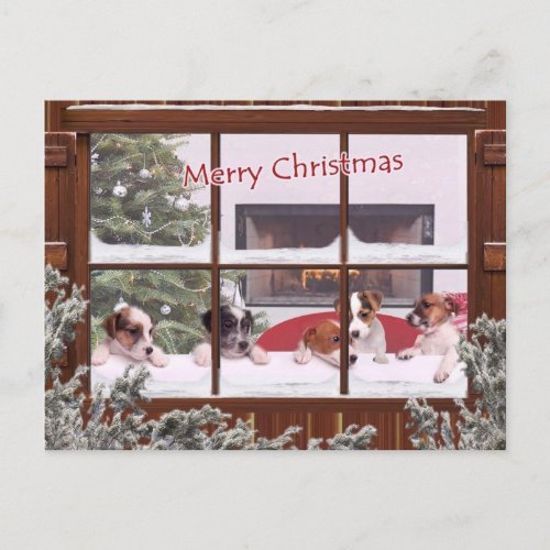 Jack Russell Christmas Wishes Greeting Holiday Postcard