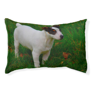 Jack Russell Dog Bed. Pet Bed