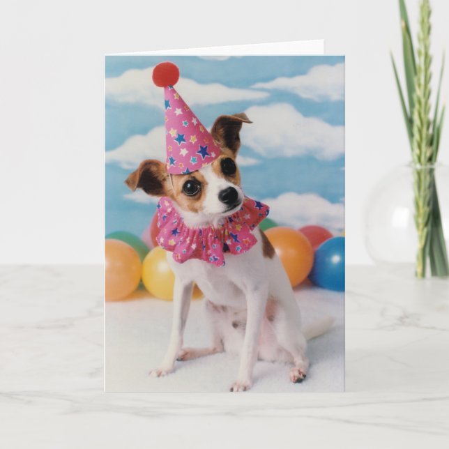 Jack Russell Dog Birthday Card (Front)
