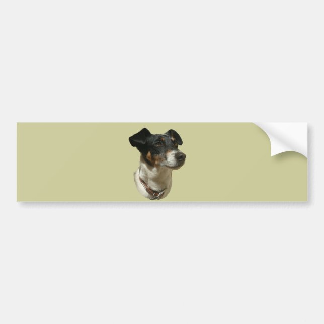 Jack Russell Dog bumper sticker (Front)