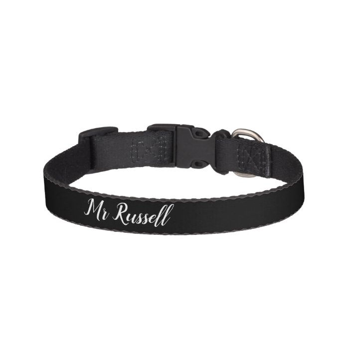 Jack Russell dog Collar