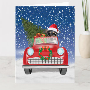 Jack Russell Dog Driving Car In Snow Christmas Card