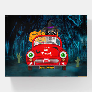 Jack Russell Dog Driving Car Scary Halloween Paperweight