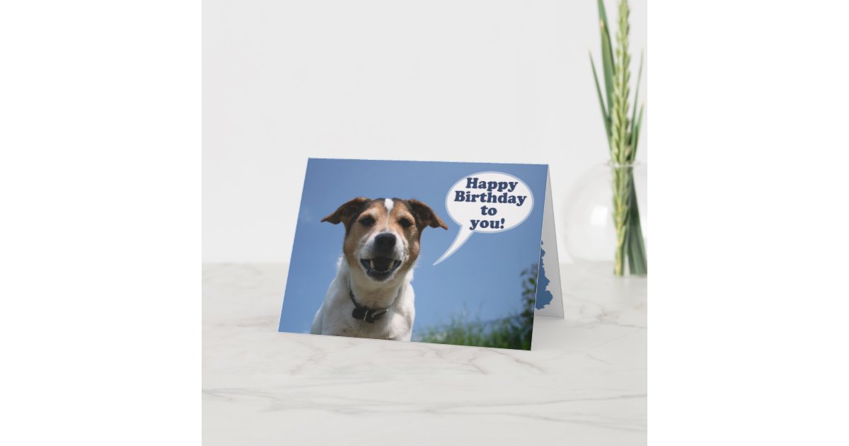 Jack Russell dog Happy Birthday card Zazzle