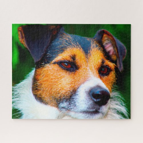 Jack Russell Dog Jigsaw Puzzle