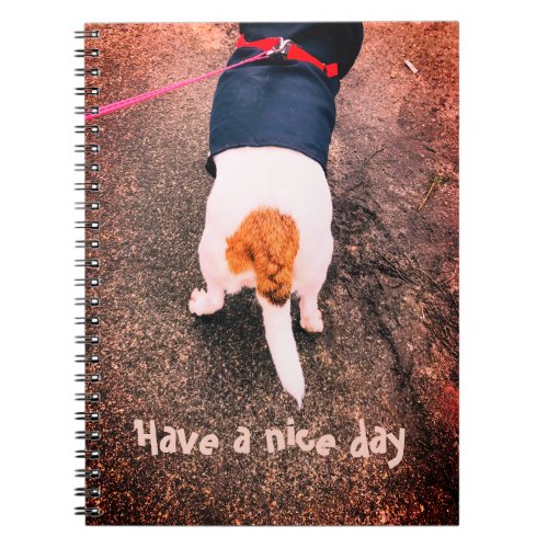 Jack russell dog notebook