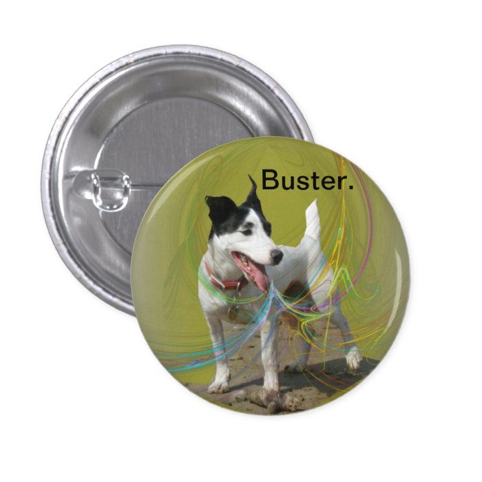 Jack Russell dog on a swirled coloured background. Buttons