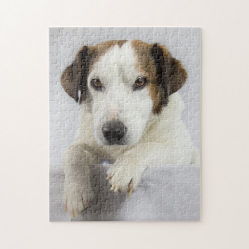 Jack Russell Friend Jigsaw Puzzle