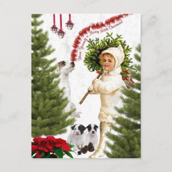 Jack Russell Have Yourself A Merry Christmas Holiday Postcard by 4westies at Zazzle