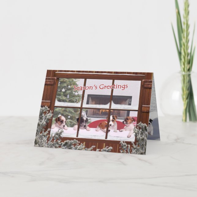 Jack Russell Hugs & Kisses Season's Greetings Holiday Card (Front)