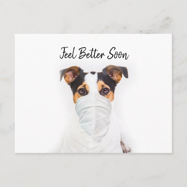 Jack Russell in bandana mask get well Postcard (Front)
