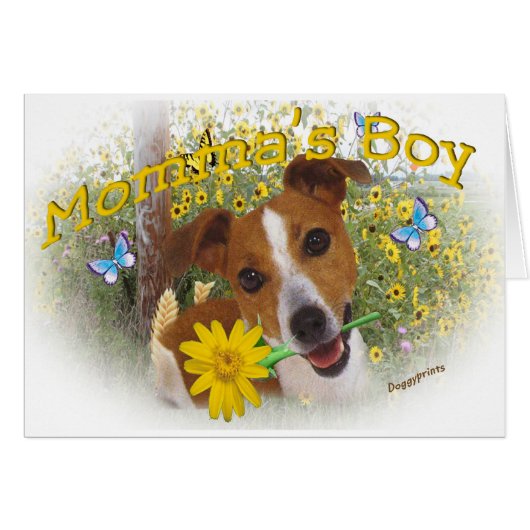 Jack Russell Momma's Boy Cards (Front Horizontal)