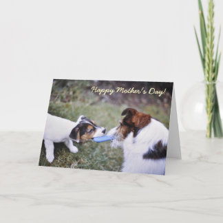 Jack Russell Mother's day card