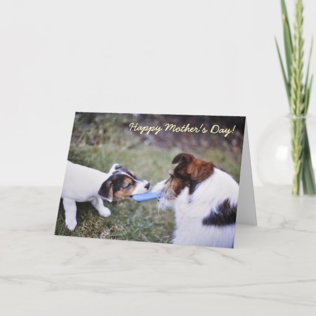 Jack Russell Mother's day card (Front)