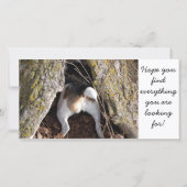 Jack Russell Note Cards (Front)