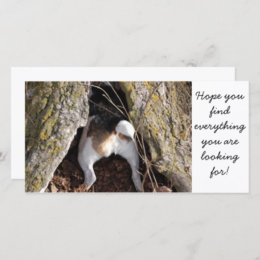 Jack Russell Note Cards (Front/Back)
