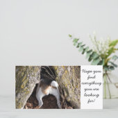 Jack Russell Note Cards (Standing Front)