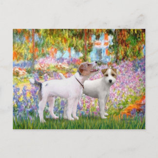 Jack Russell Pair - Garden Postcard