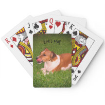 Jack Russell playing cards