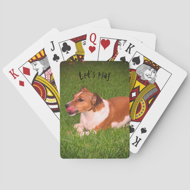 Jack Russell playing cards (Back)