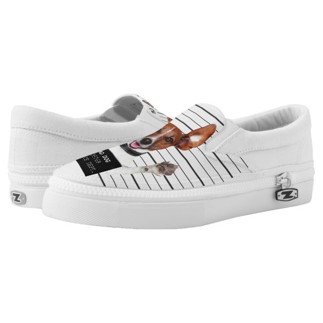 jack russell shoes