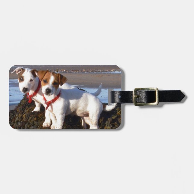 Jack Russell Puppies Luggage Tag (Front Horizontal)