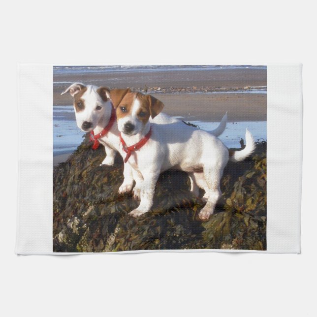Jack Russell Puppies Towel (Horizontal)