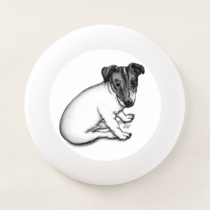 Jack Russell puppy 10 weeks old Wham-O Frisbee