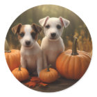 Jack Russell Puppy Autumn Delight Pumpkin