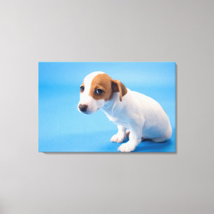 Jack Russell Puppy Canvas Print