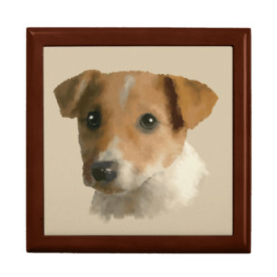Jack Russell Puppy Gift Box