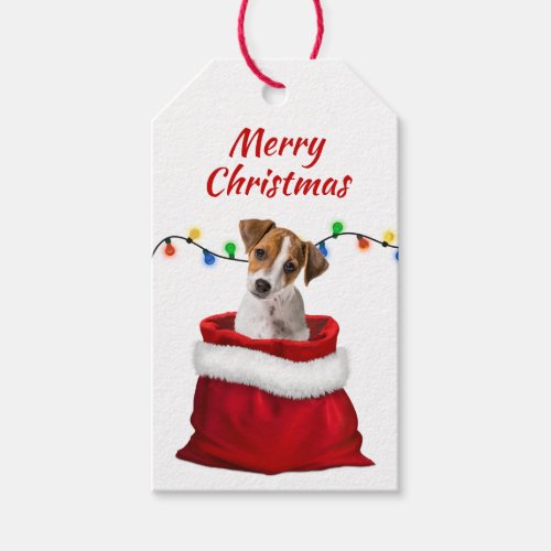 Jack Russell Puppy in Santa Bag Gift Tags