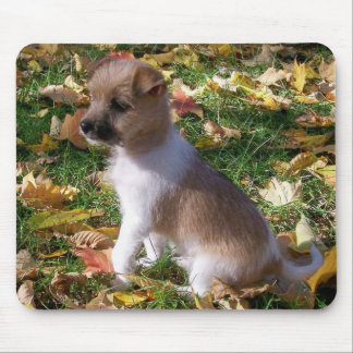 Jack Russell Puppy Mouse Pad