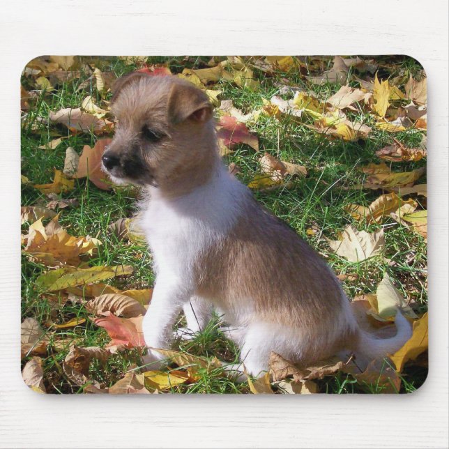 Jack Russell Puppy Mouse Pad (Front)