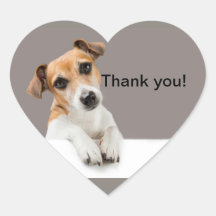 Jack Russell Puppy Sweet Adorable Cute Heart Stick