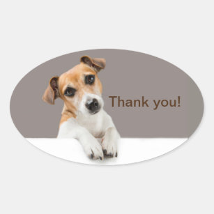 Jack Russell Puppy Sweet Adorable Thank You Oval Sticker