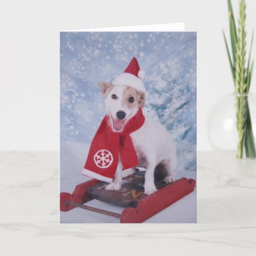 Jack Russell Santa Helper Holiday Card