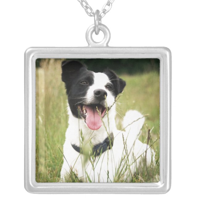Jack Russell Silver Plated Necklace (Front)