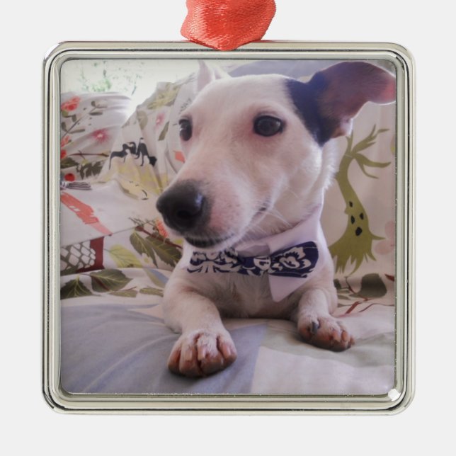 Jack Russell Terier Metal Ornament (Front)