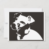 Jack Russell Terrier (Front)