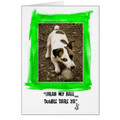Jack Russell Terrier (Front)