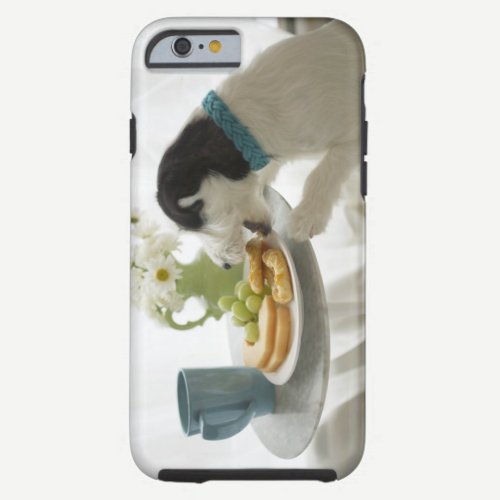 Jack russell terrier. 2 tough iPhone 6 case