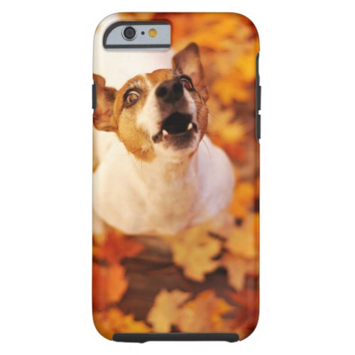 Jack Russell Terrier barking and jumping Autumn Tough iPhone 6 Case