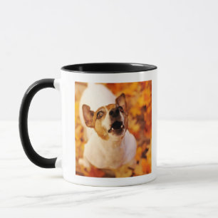 Jack Russell Terrier barking and jumping, Autumn Mug