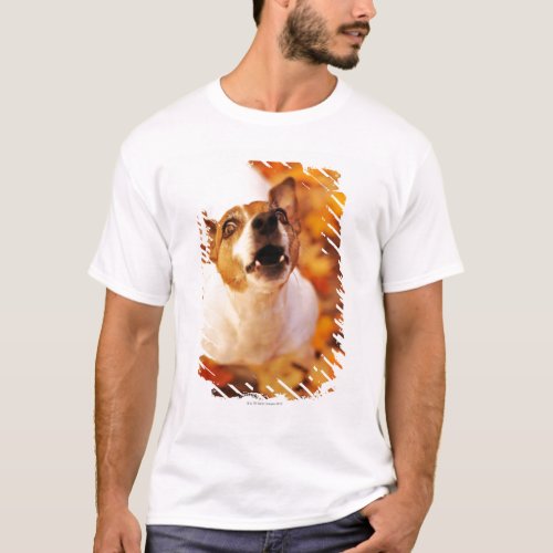 Jack Russell Terrier barking and jumping Autumn T_Shirt