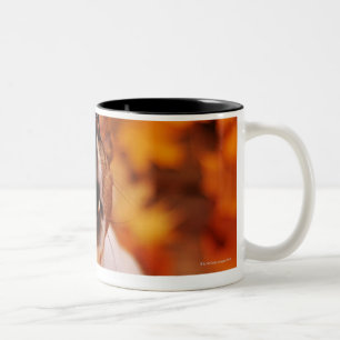 Jack Russell Terrier barking and jumping, Autumn Two-Tone Coffee Mug