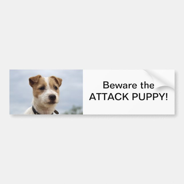 Jack Russell Terrier Bumper Sticker (Front)